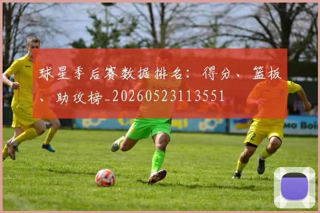 球星季后赛数据排名：得分、篮板、助攻榜_20260523113551