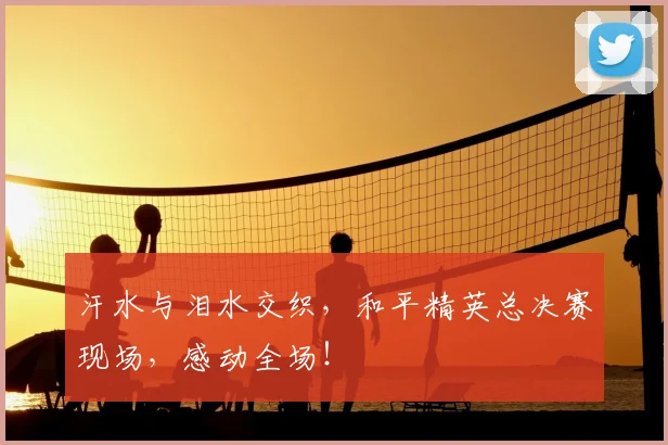 汗水与泪水交织，和平精英总决赛现场，感动全场！